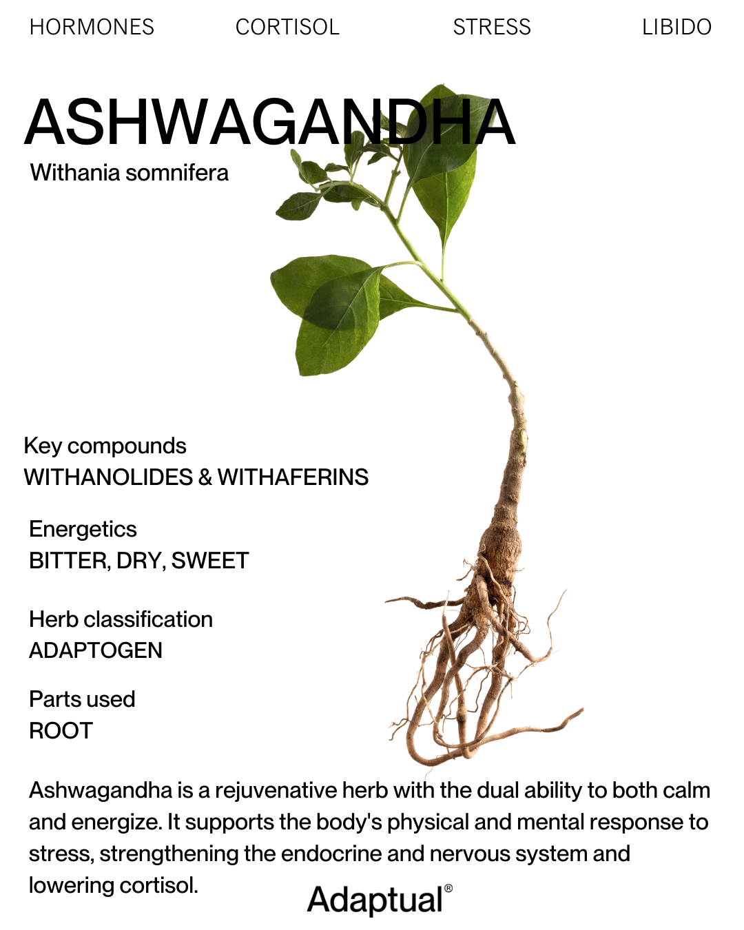 Australian Grown Ashwagandha+