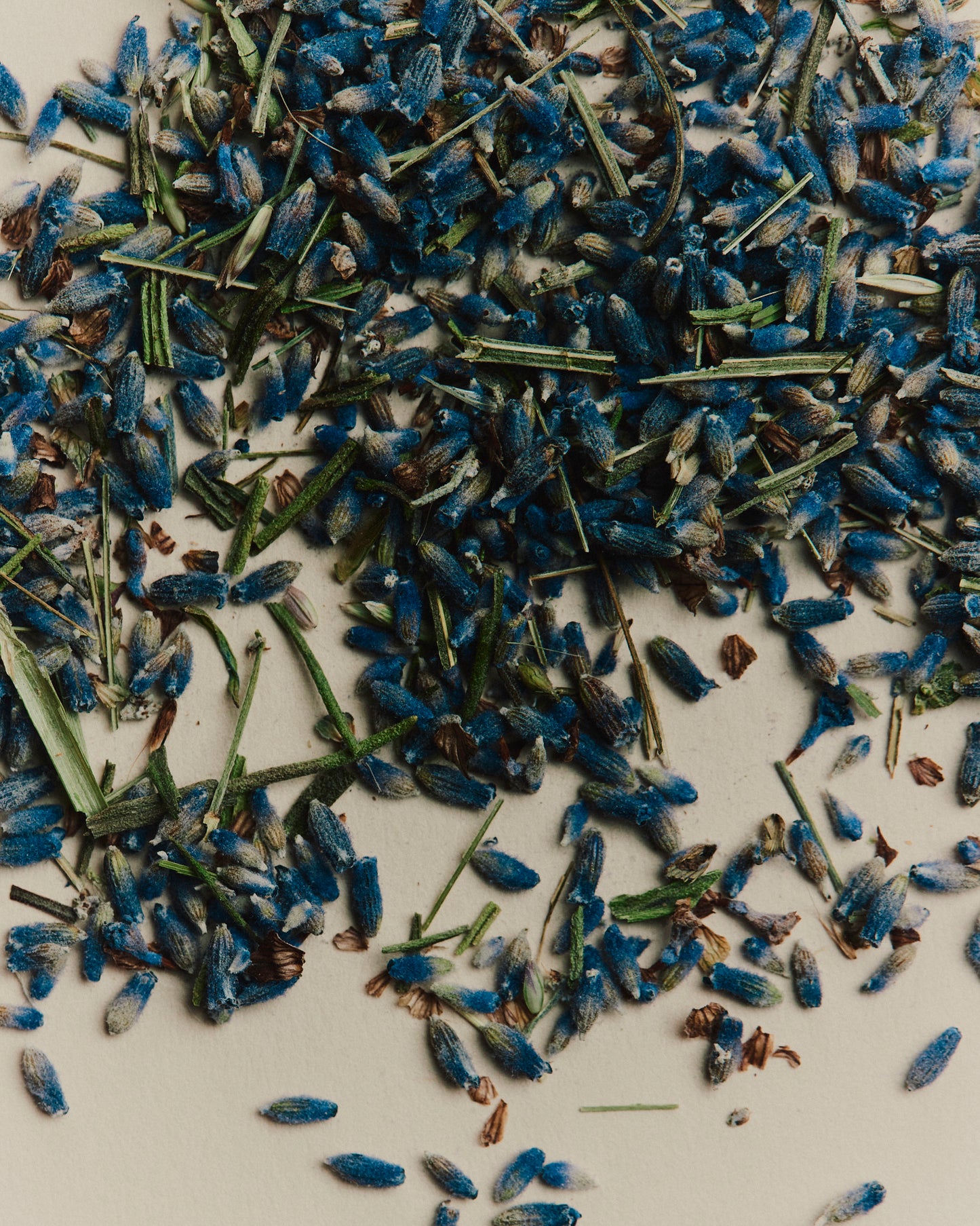 Australian Grown Sleep & Relaxation Tincture