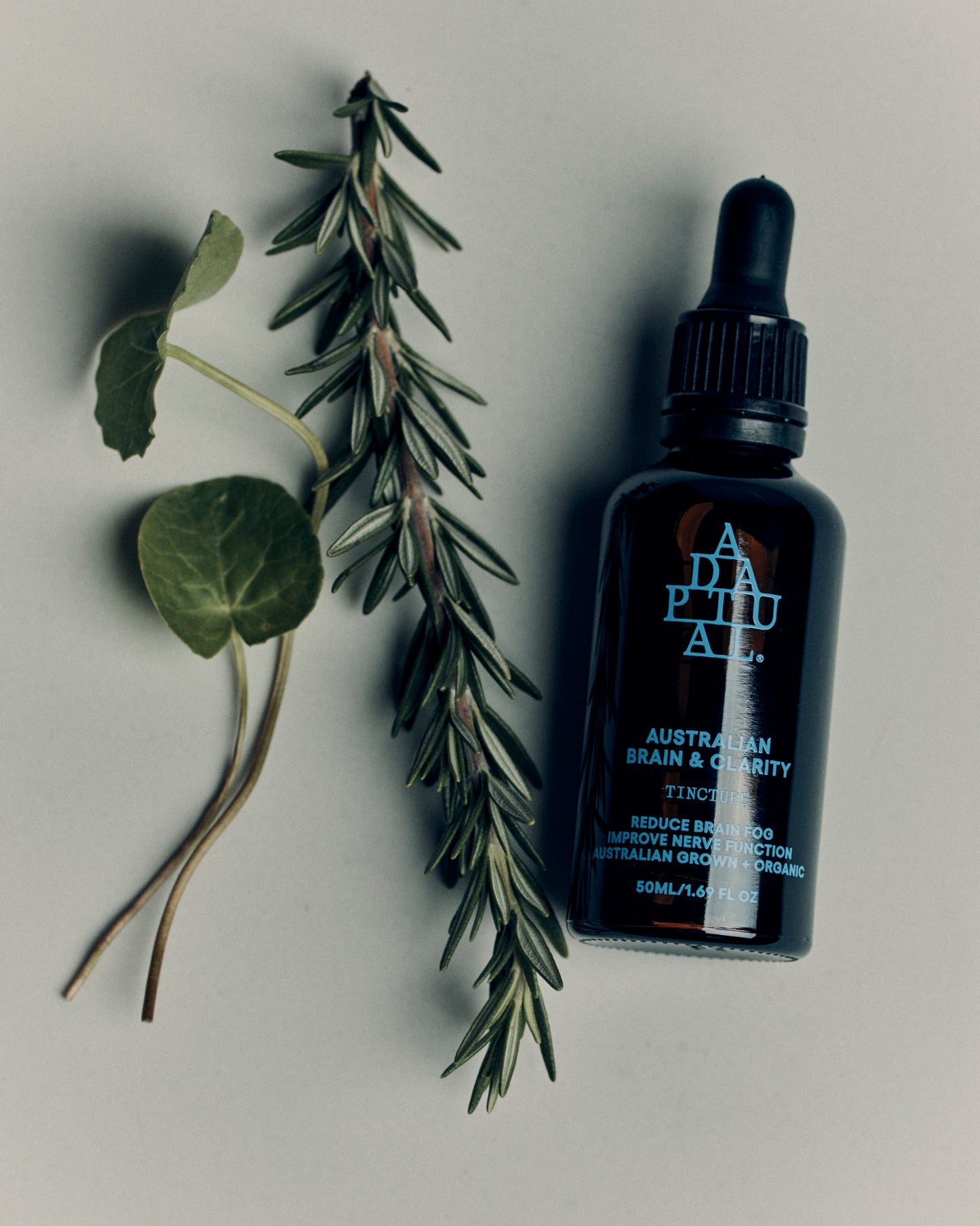 Australian Grown Centella Brain + Clarity Tincture