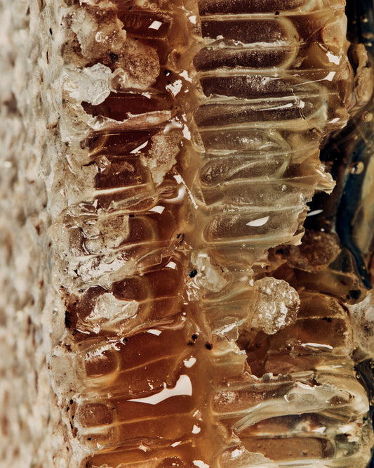 Creamed Tasmanian Manuka Honey