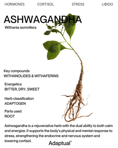 Australian Ashwagandha Tincture