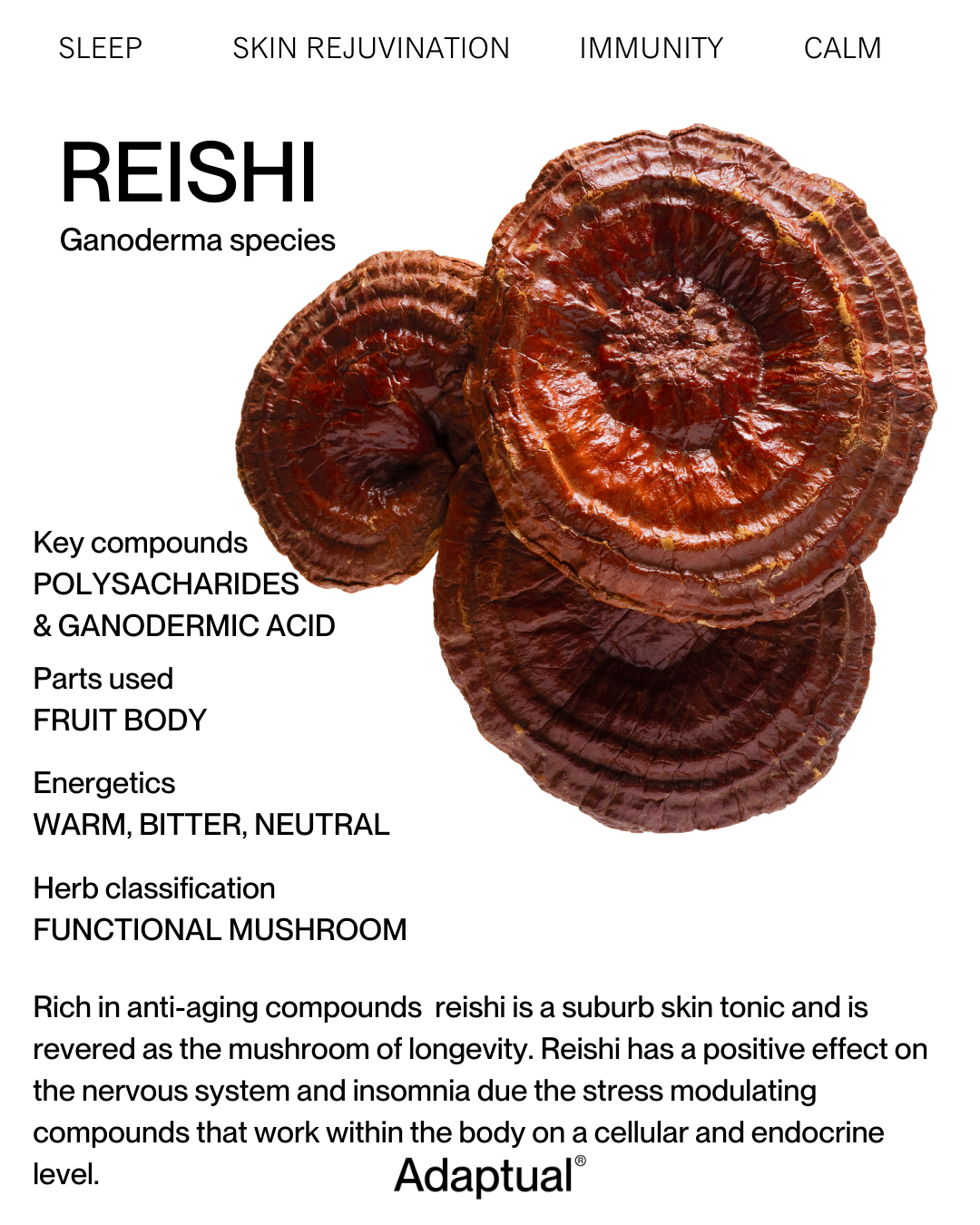 Australian Grown Reishi + Chamomile Tincture- Back in stock