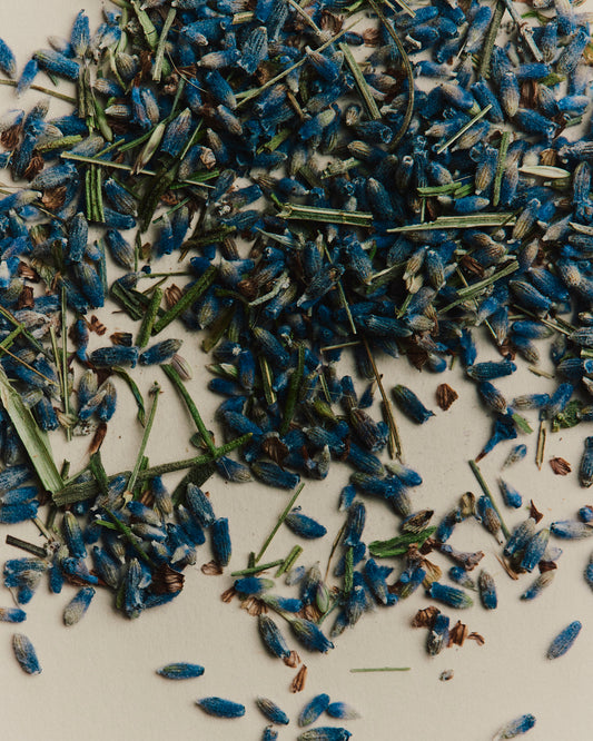 Australian Grown Echinacea Tea
