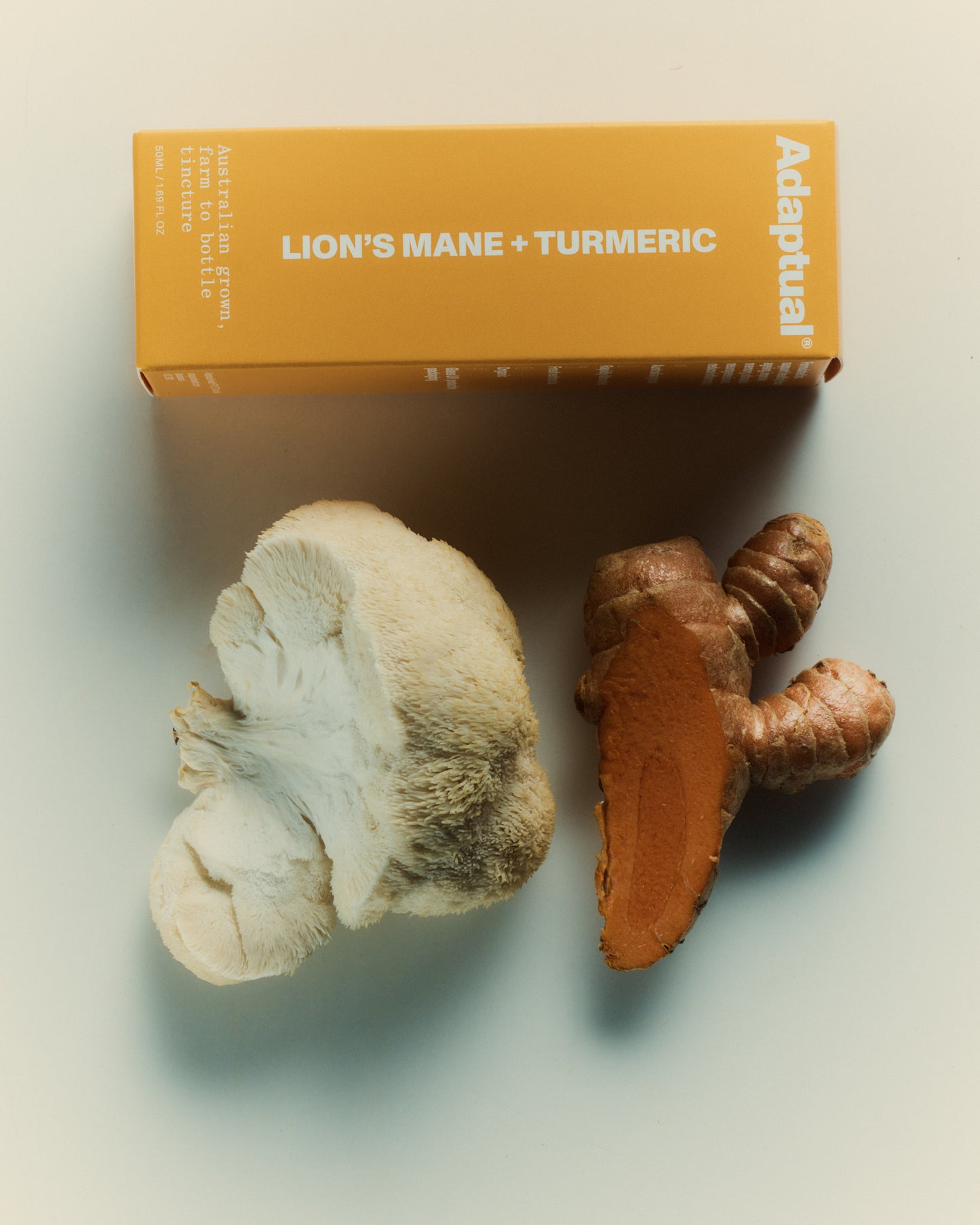 Australian Grown Lion's Mane + Turmeric Tincture