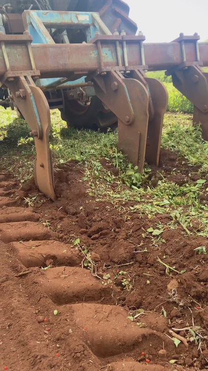 Australian Grown Ashwagandha Tincture